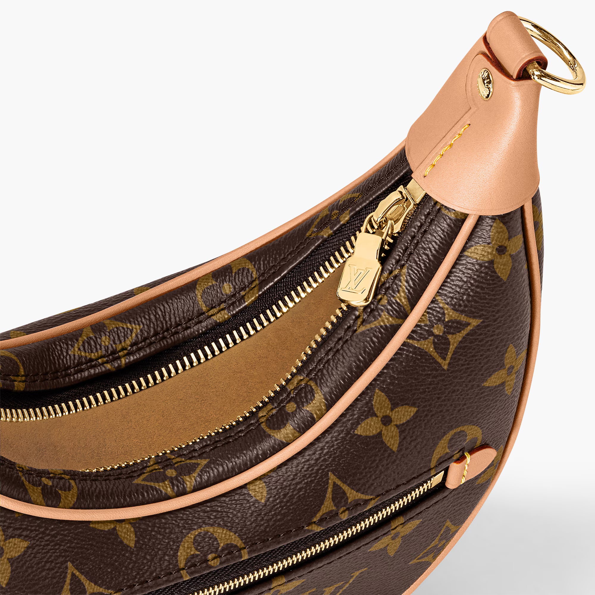 Louis Vuitton Loop Handbag